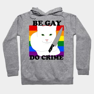 Be Gay, Do Crime Hoodie